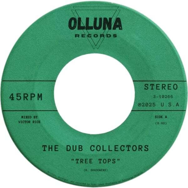 Cover art for Tree Tops